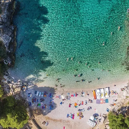 Gorgeous In With Wifi 풀라